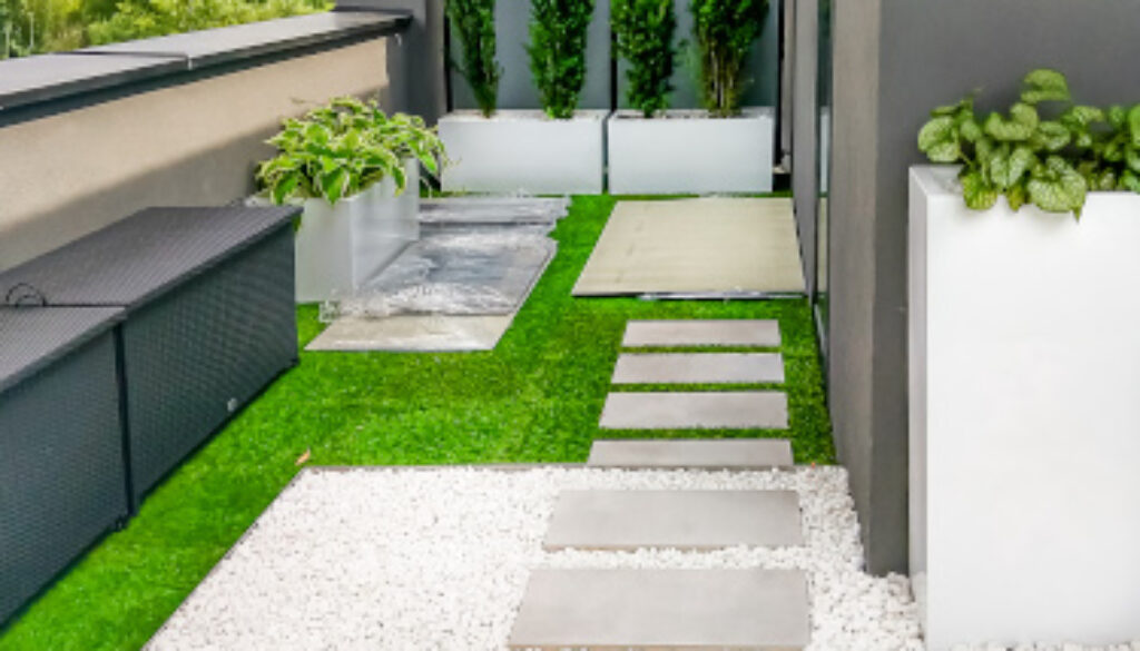 ROSLINY DONICZKOWE TARAS 9