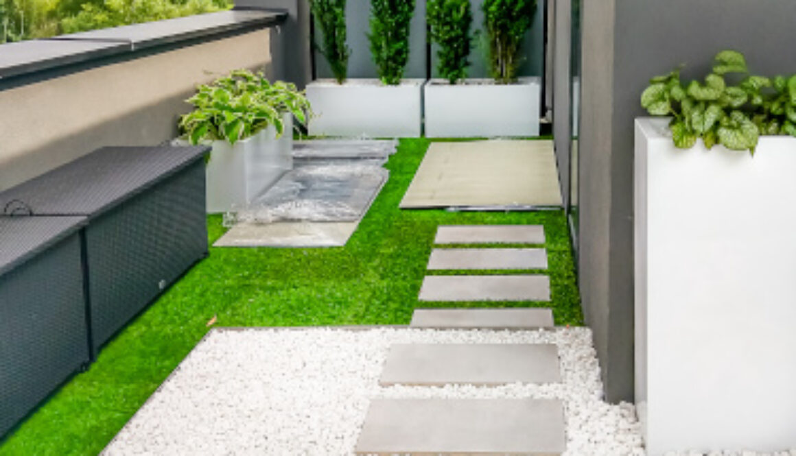 ROSLINY DONICZKOWE TARAS 9