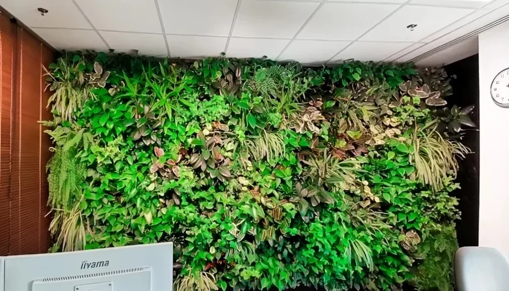 zielona-sciana-w-biurze