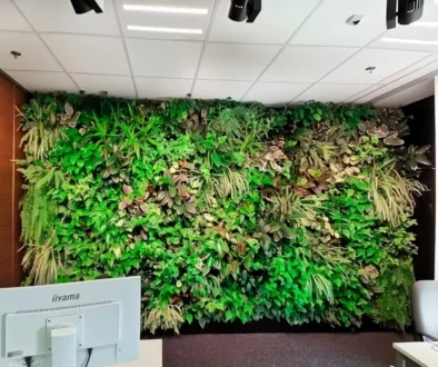 zielona-sciana-w-biurze